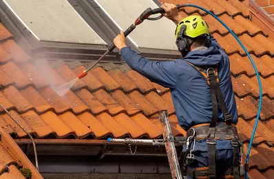 Démoussage et hydrofuge de toiture à Toussieux